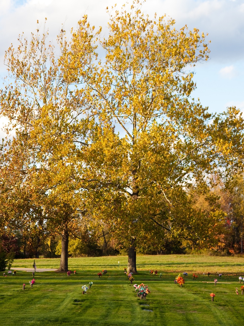 Peaceful cemetery grounds at Life Remembered memorial park featuring traditional burial plots with mature landscaping in Pennsylvania